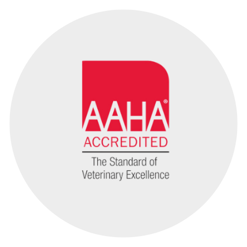 AAHA Logo