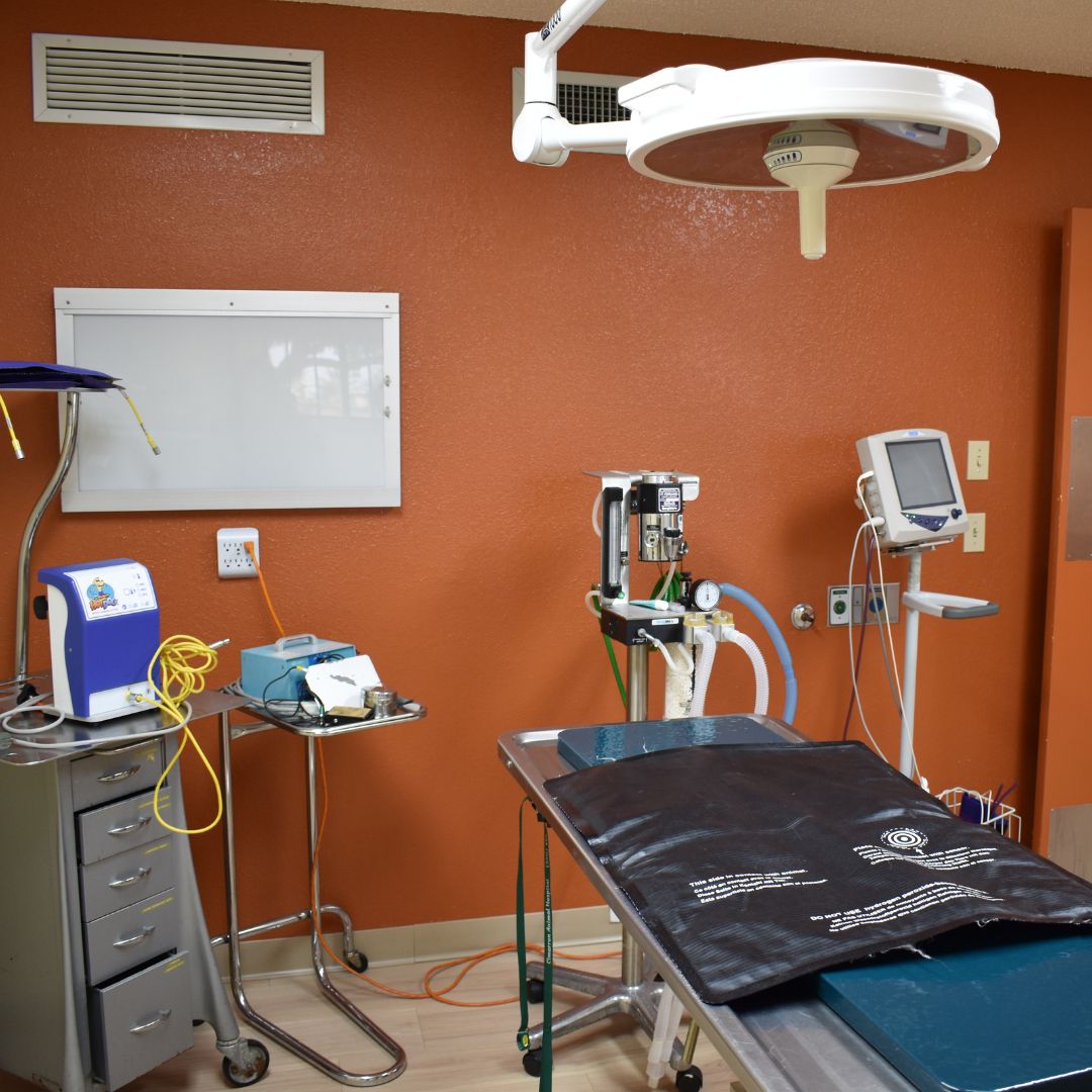 Cimarron Surgery Suite