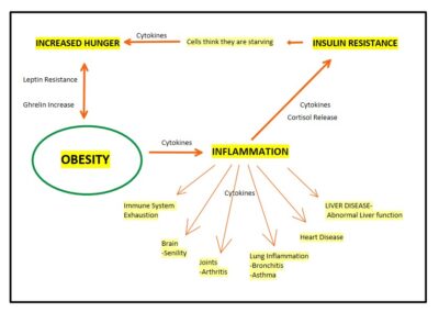 Metabolic Syndrome Graphic