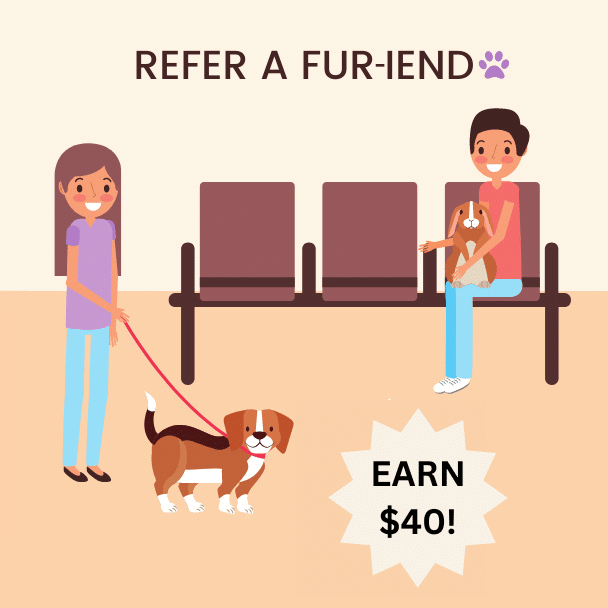 Refer a Fur-iend Graphic