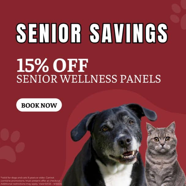 Refer a Fur-iend Graphic