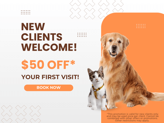 New clients welcome 40-off
